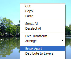 Break Apart the Bitmap